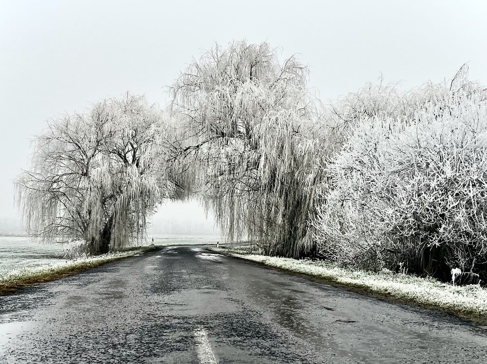 Frozen Gate
