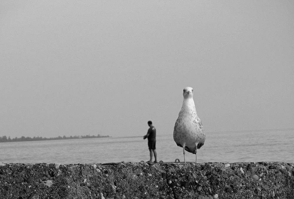 Photograph by Екатерина Салий