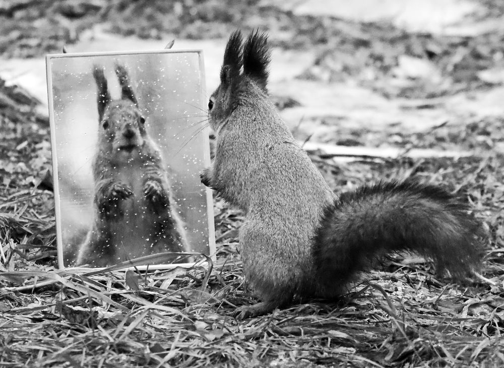 Photograph by Сергей Маслов