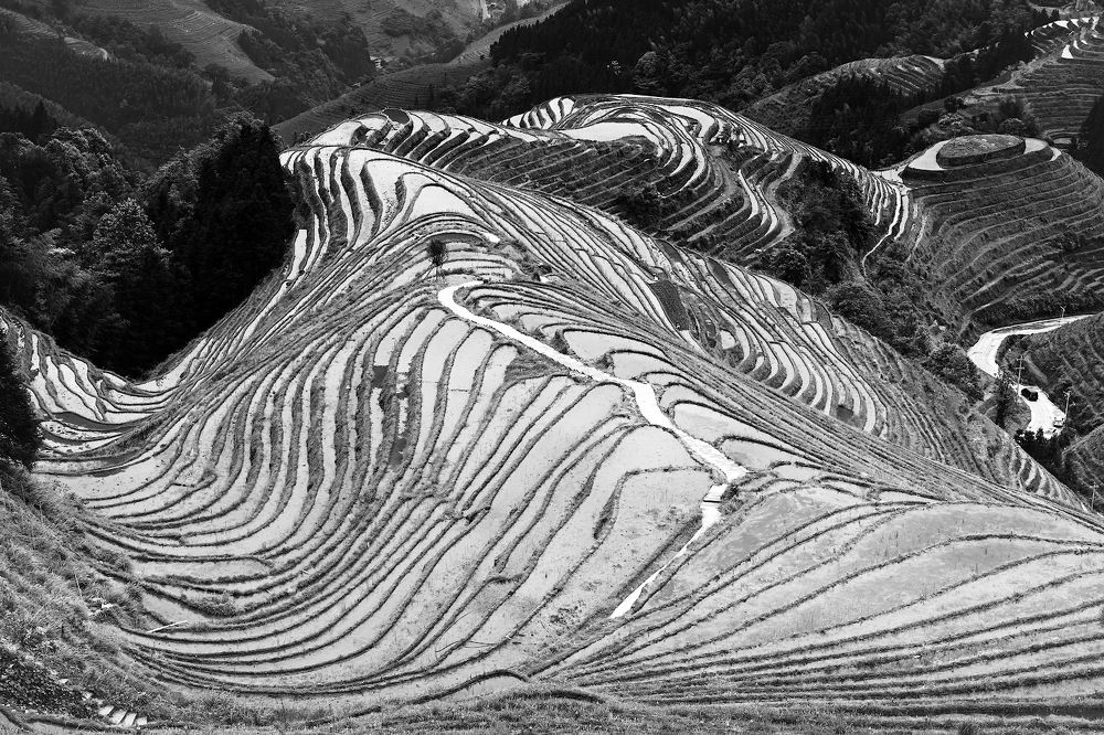 Photograph by Марина Никифорова