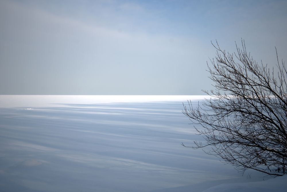 Photograph by Роза Нургалина