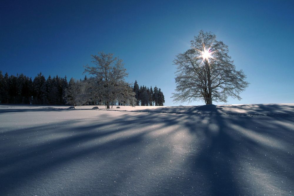 Фотография автора Chorche Prigo