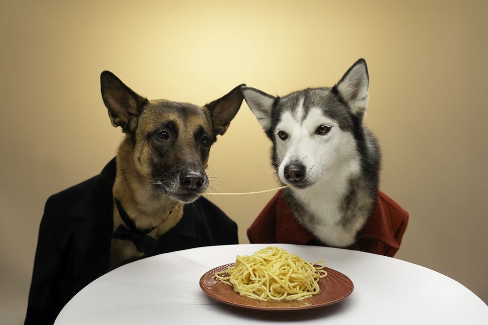 Photograph by Андрианова Ирина