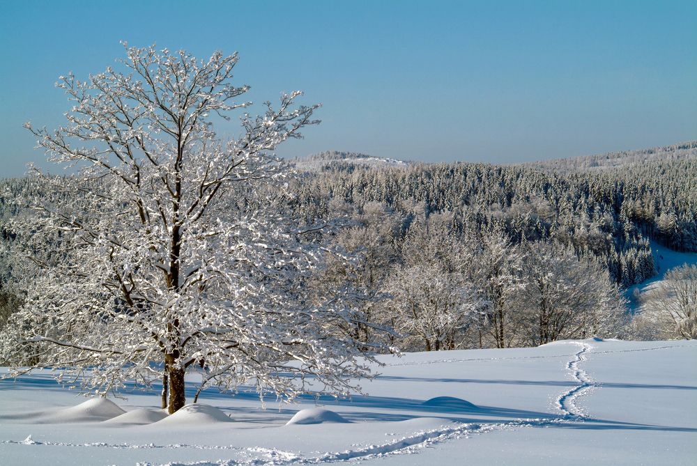 Фотография автора Chorche Prigo