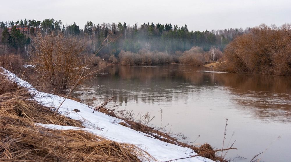Фотография автора Виталий Дузь