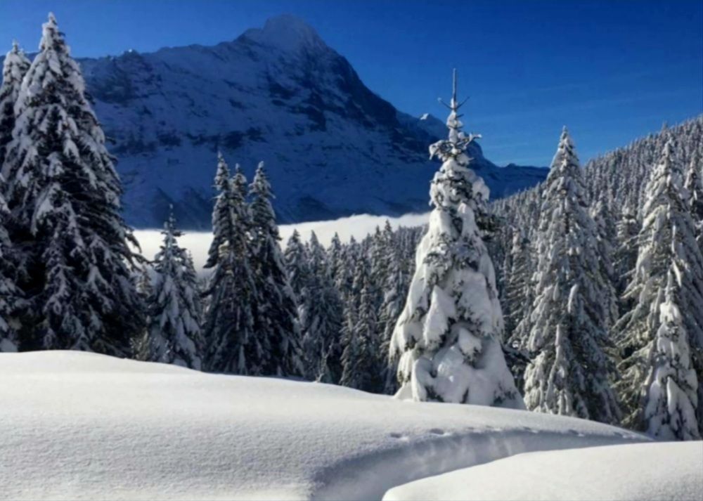 Photograph by Catherine Walter-Prêtre