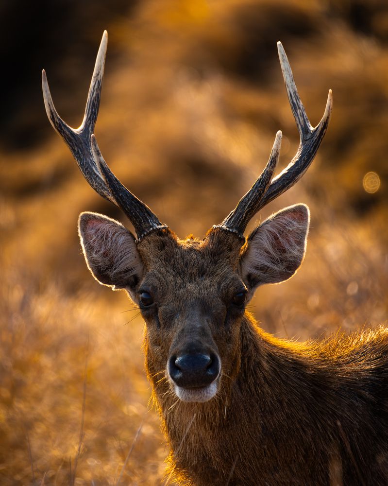 Photograph by Diego Parra Bonilla