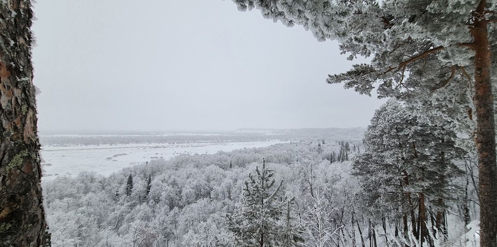 Photograph by Natasha Kim