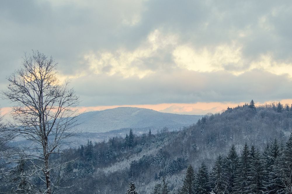 Фотография автора Вера Базилевская