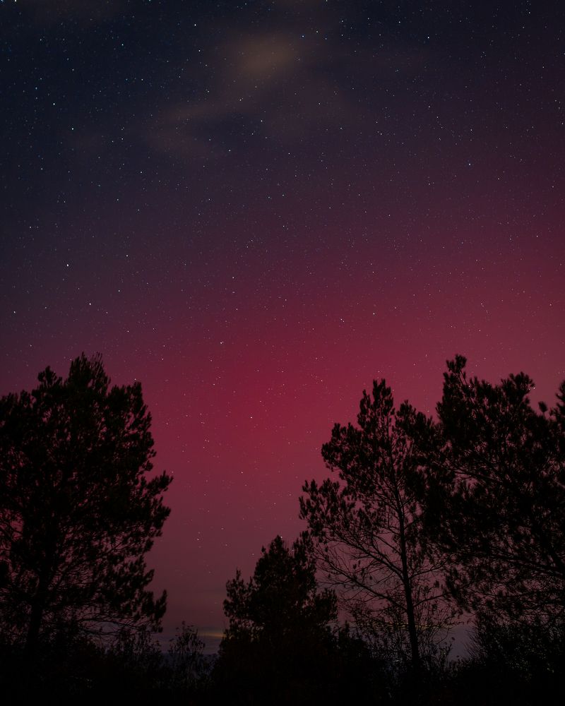 Photograph by Diego Parra Bonilla