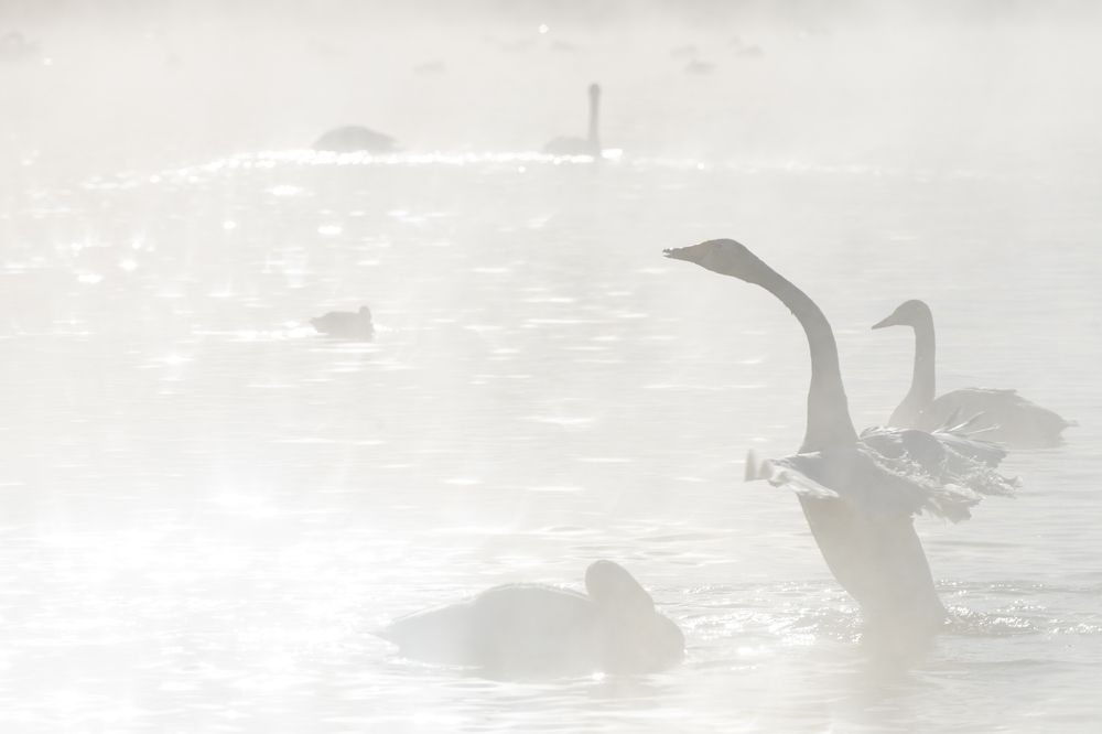 Photograph by Сергей Шерстнев