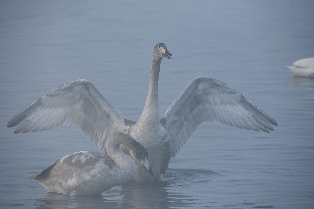 Photograph by Сергей Шерстнев