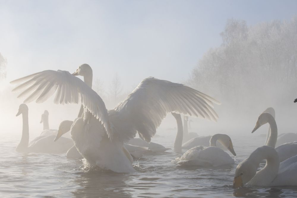 Photograph by Сергей Шерстнев