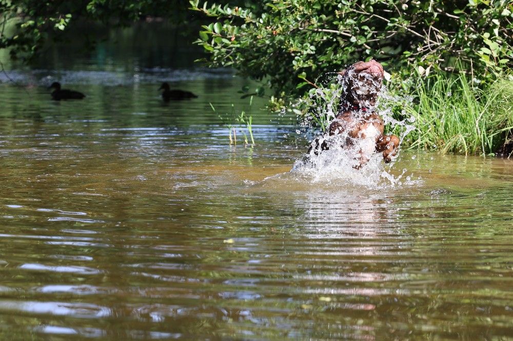 Photograph by Валерия Гуртовая