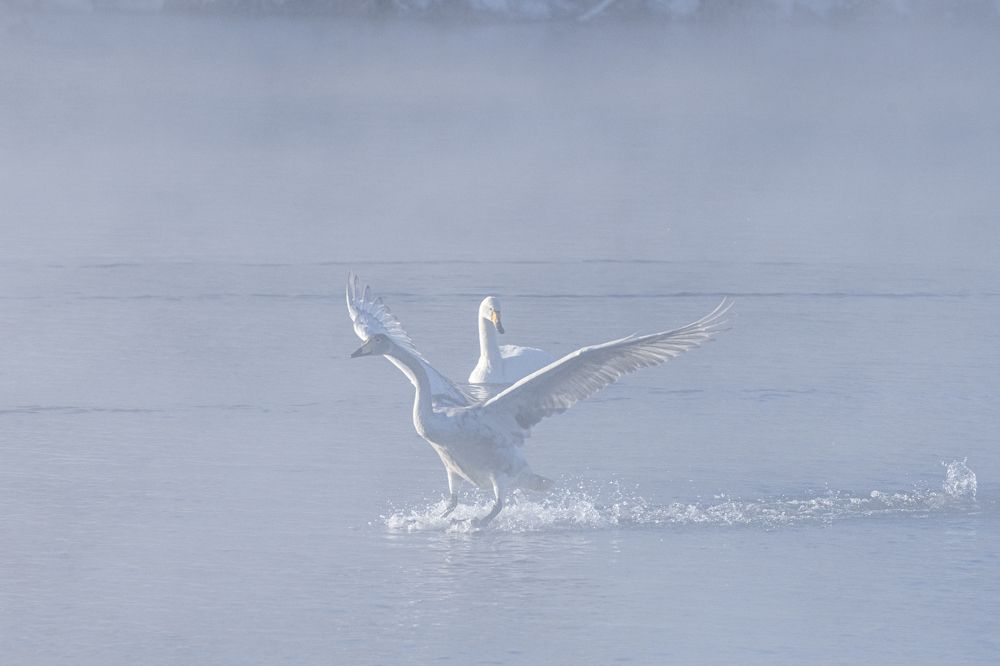 Photograph by Сергей Шерстнев