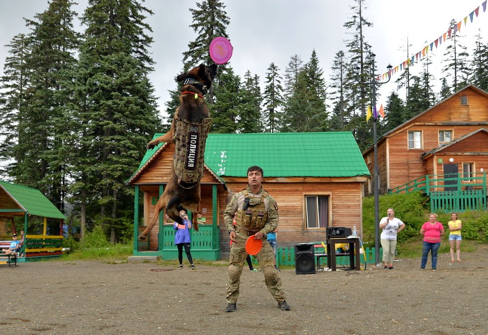 Фотография автора Владимир Куликов