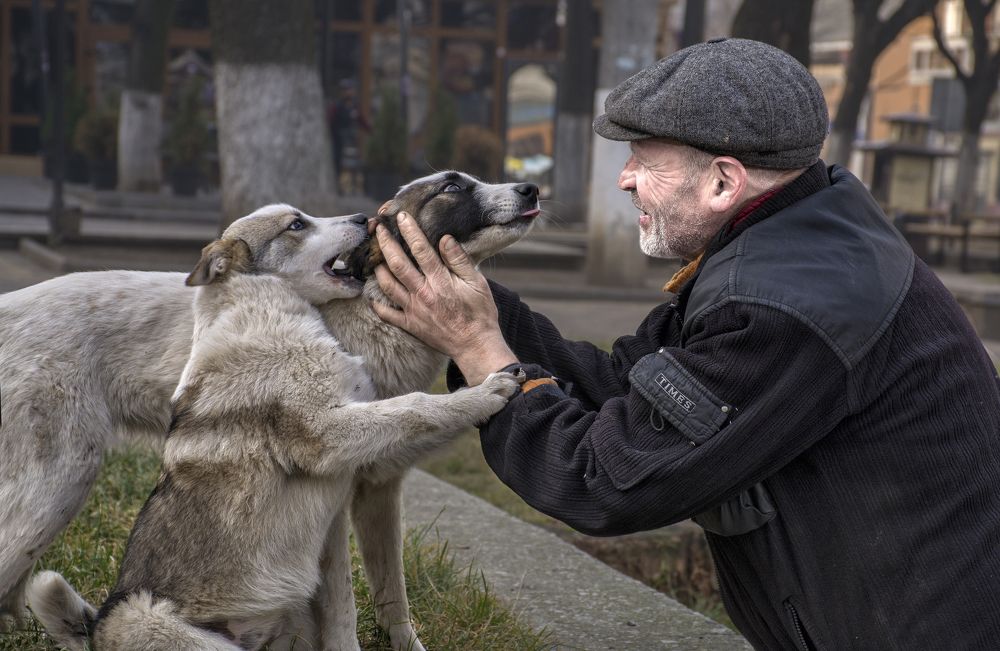 Photograph by Тетельман Давид