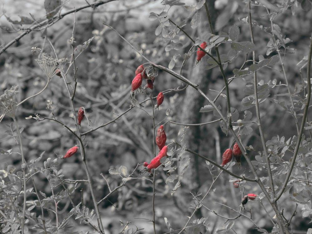 Photograph by Аспан Байтасов