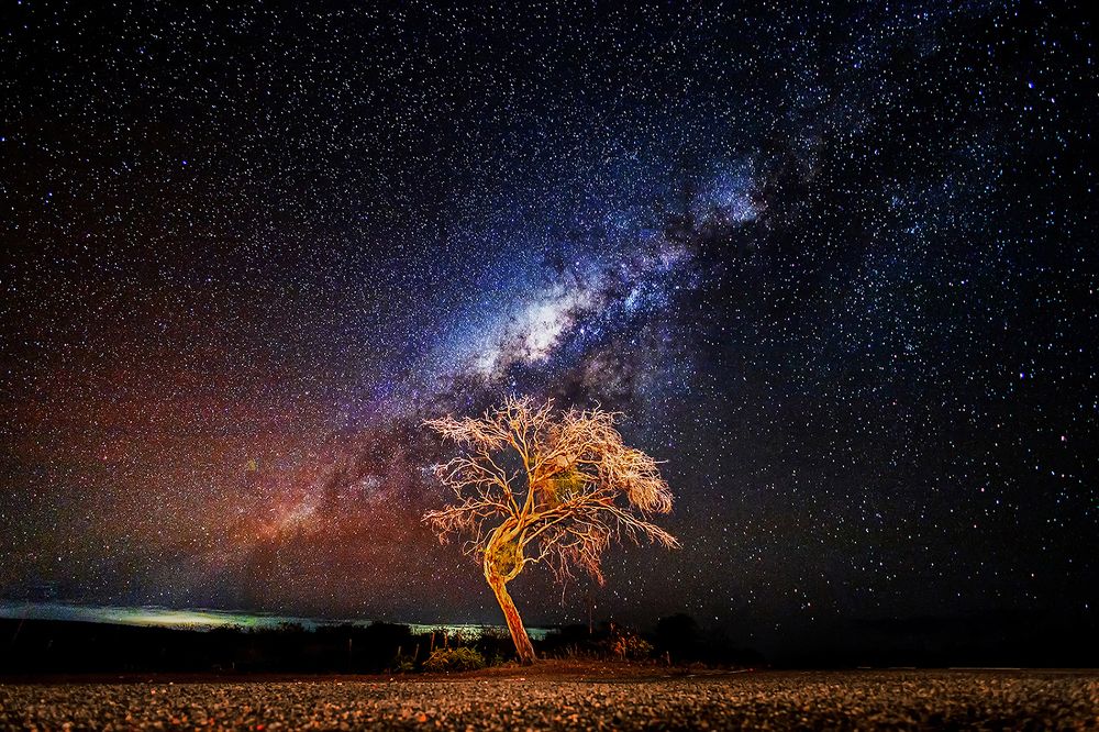 Photograph by Aldo Bernardis