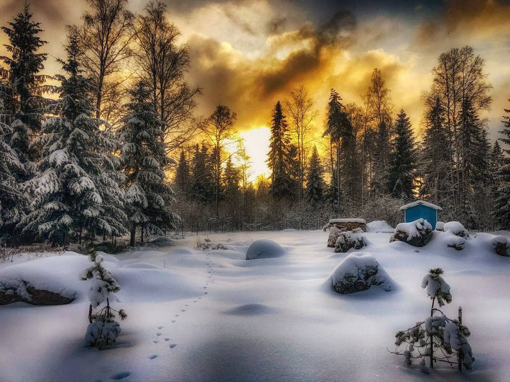 Photograph by Сергей Кропп