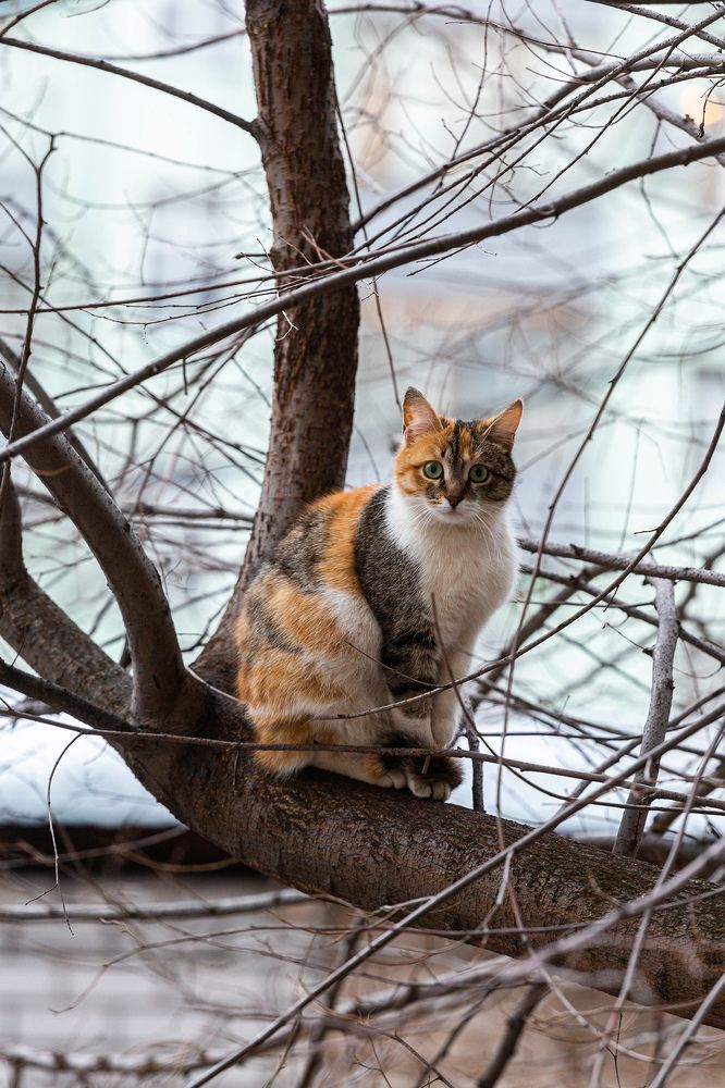 Photograph by Latte and Almond