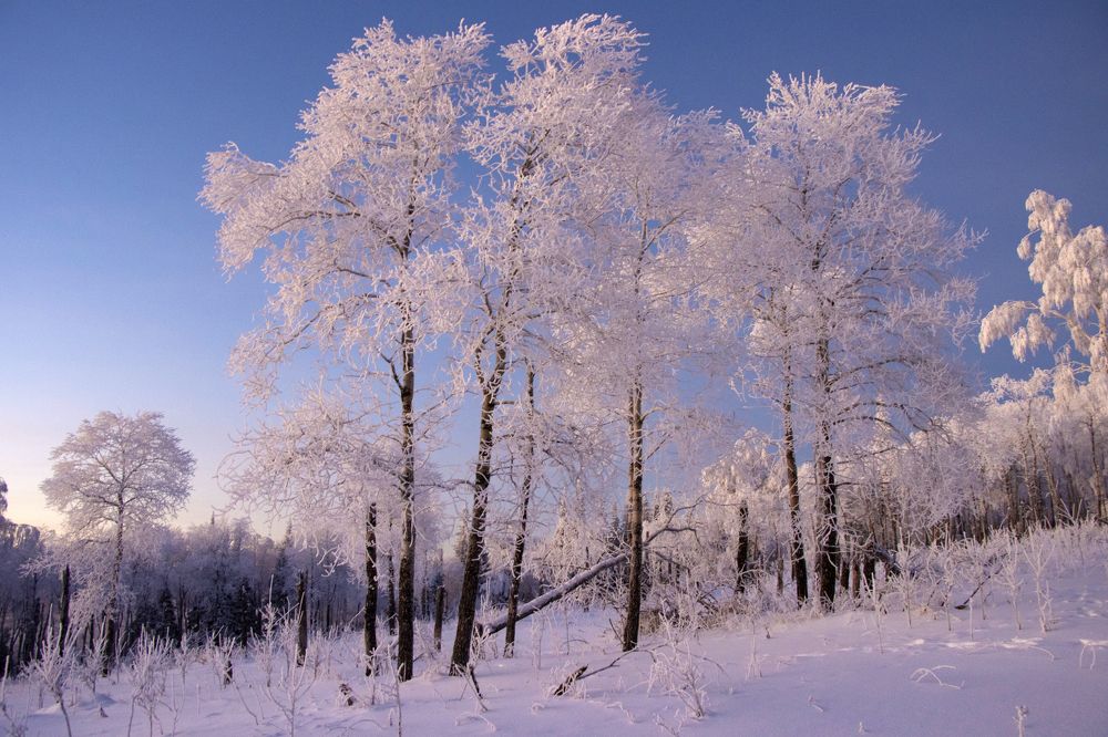 Вечерние контрасты