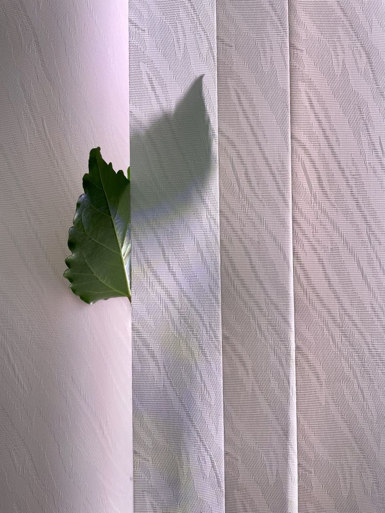 Photograph by Татьяна Раковская