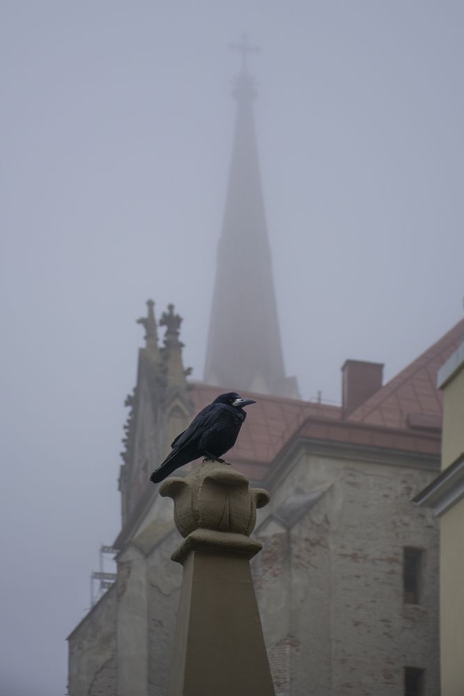 Photograph by Тетельман Давид