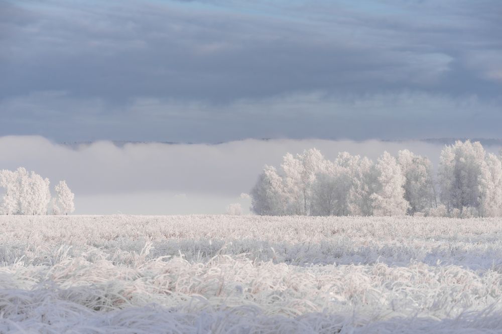 Photograph by Дубровская Екатерина