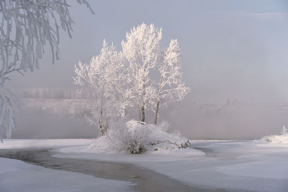 Photograph by Дубровская Екатерина