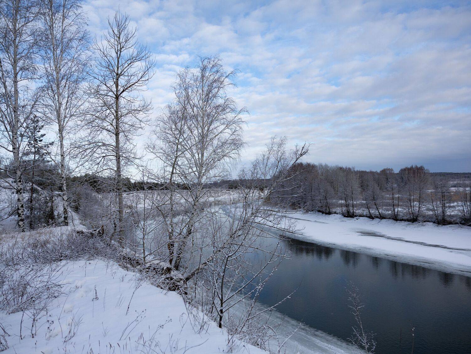 Фотография #11697761