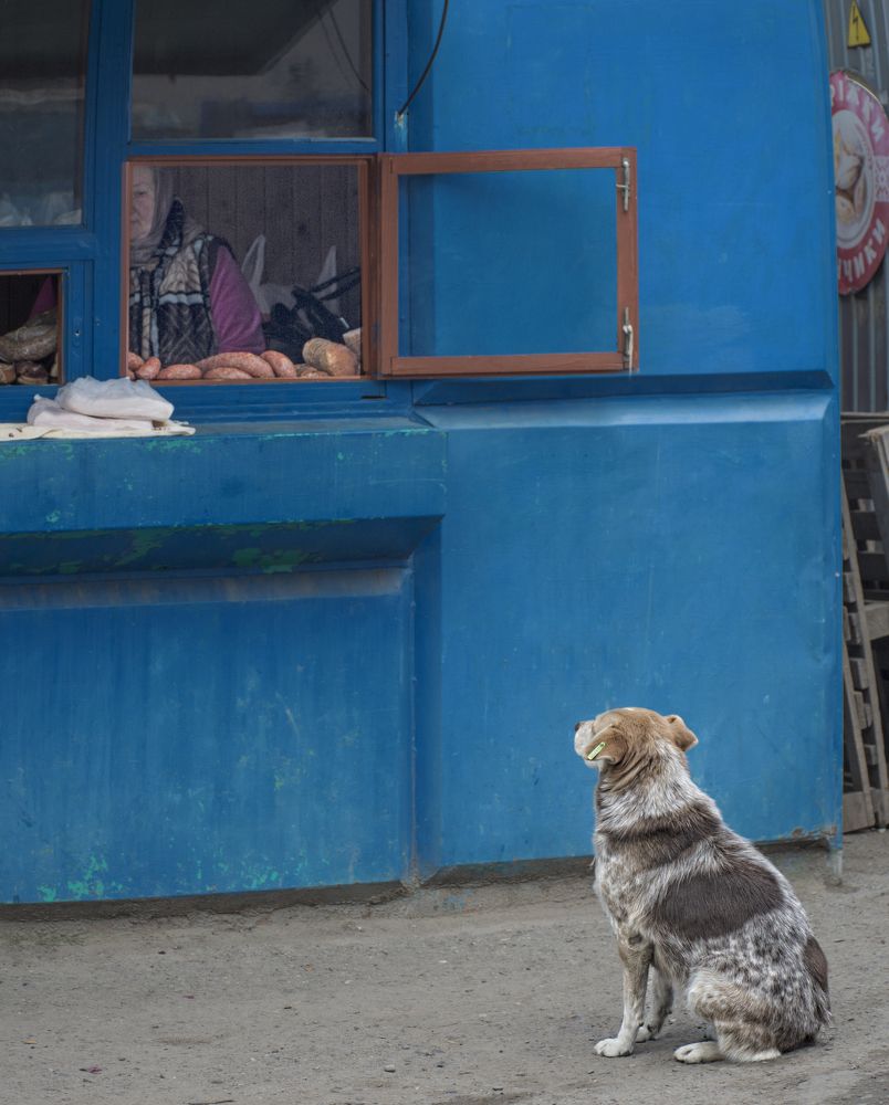 Photograph by Тетельман Давид