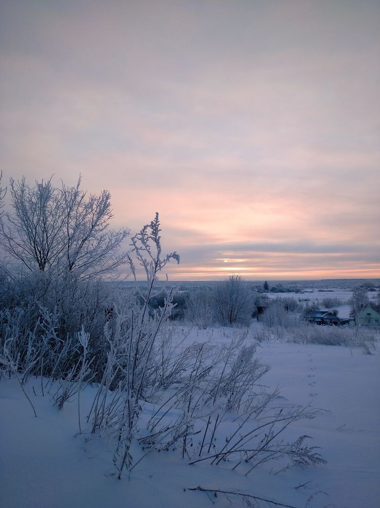 Photograph by Елена Коробченко