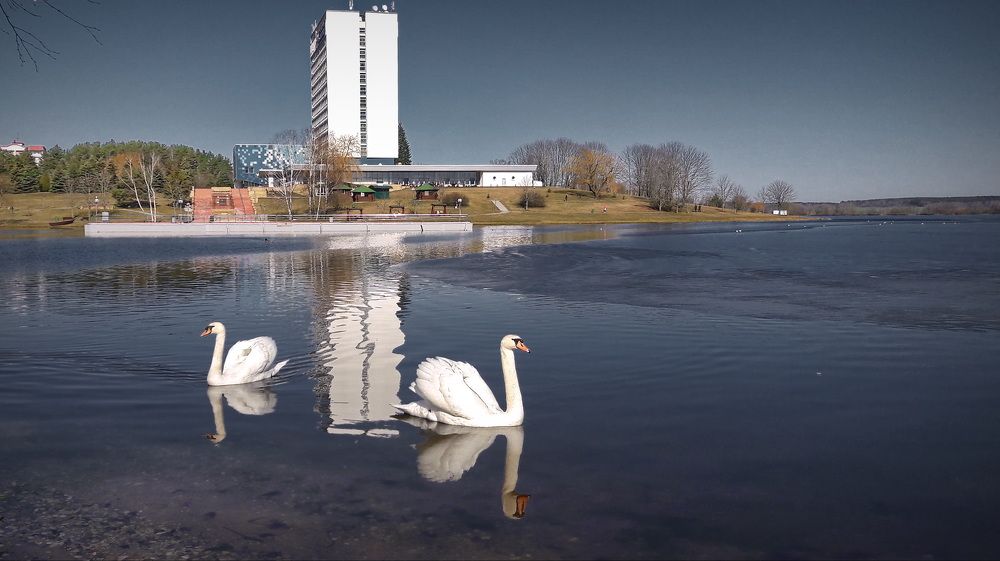 Фотография автора Анатолий Дауров