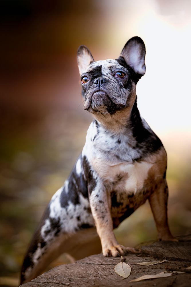 Photograph by Ольга Луканенкова