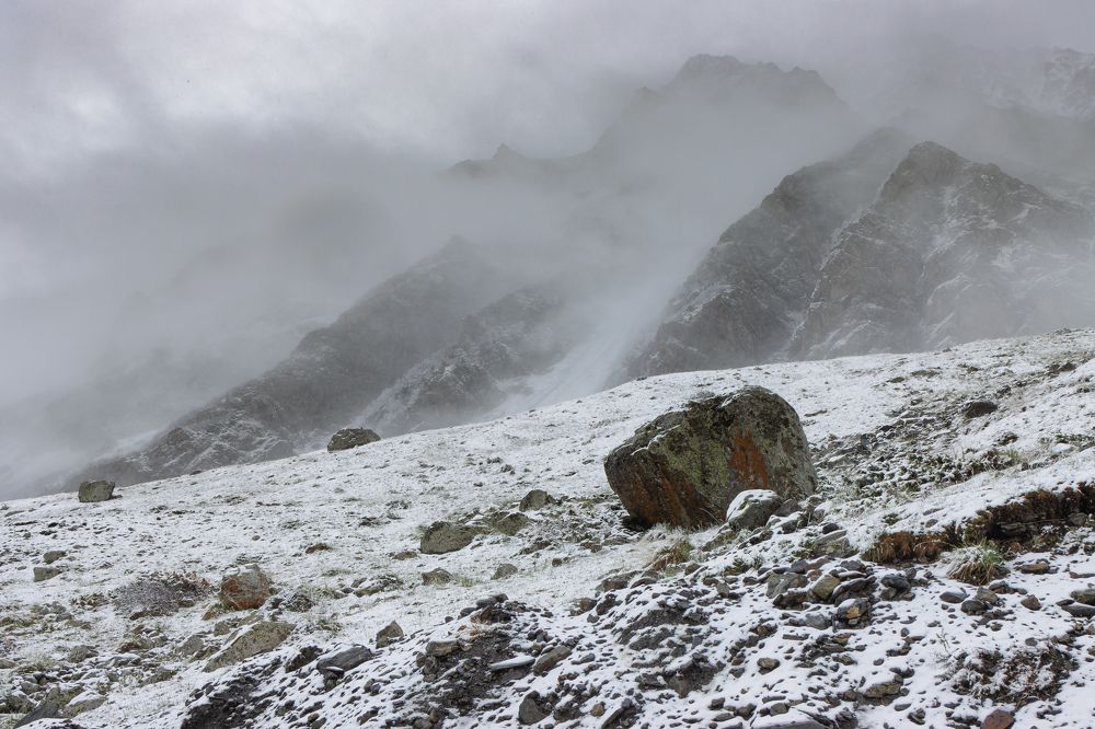 Photograph by Светлана Холодняк