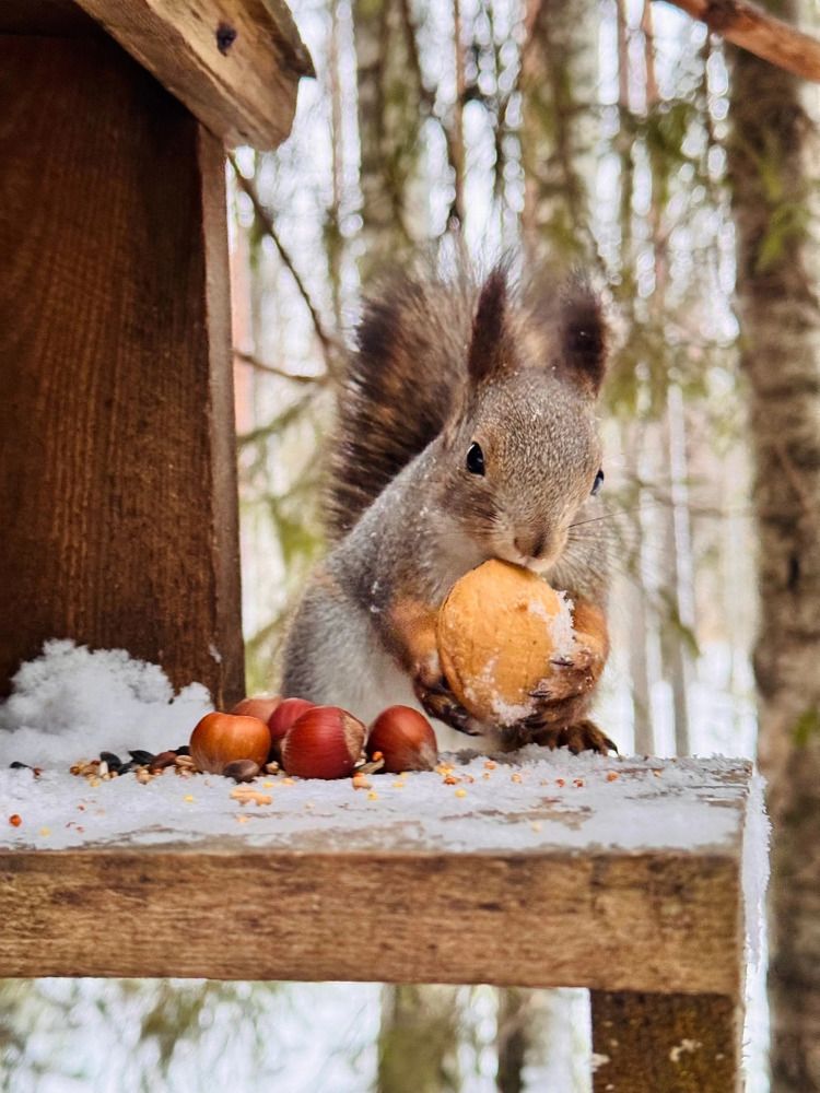 Photograph by Анна Куревина