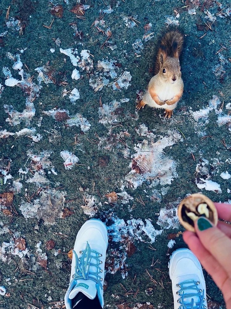 Photograph by Анна Куревина