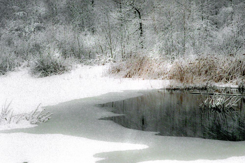 Photograph by Вячеслав Лычков