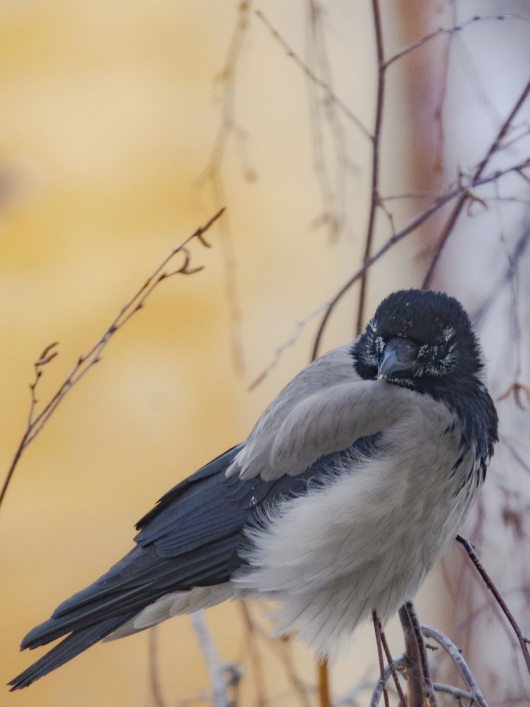 Photograph by Александр