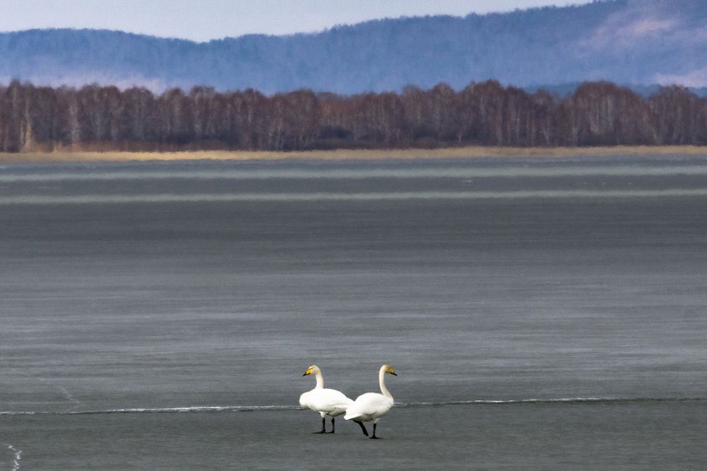 Photograph by Александр