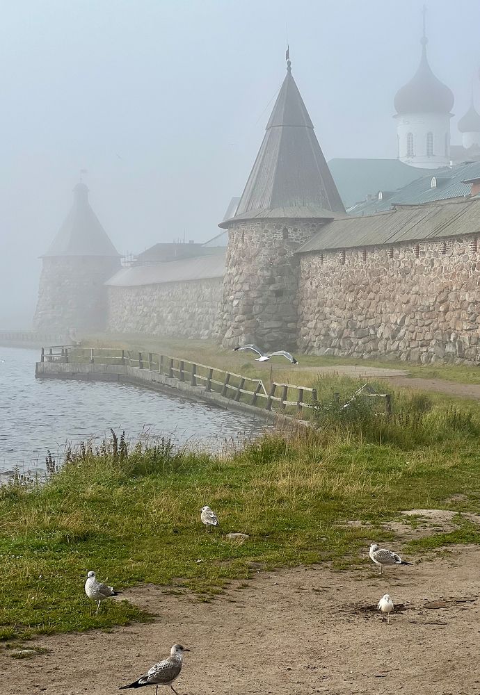 Photograph by Александр Антонов