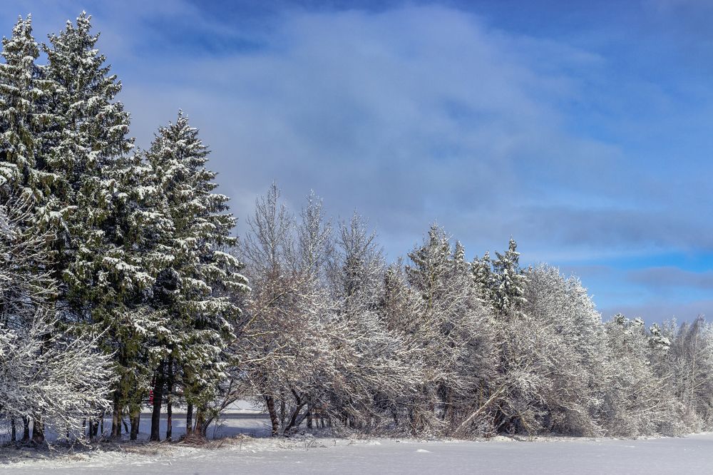 Photograph by Сергей Зайцев