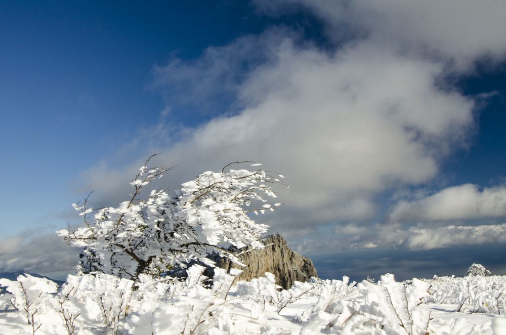 Photograph by Юрий Юрченко