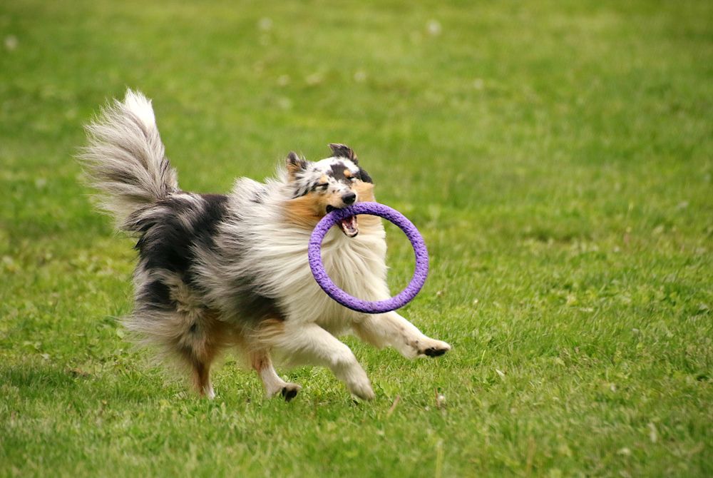 Photograph by Шруб (Беляева) Татьяна