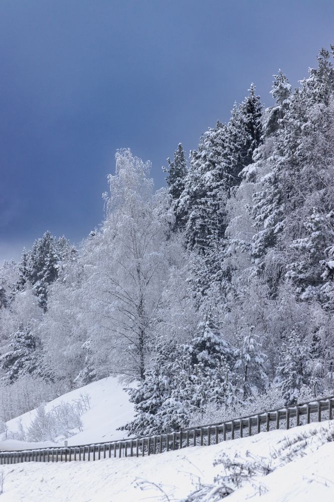 Photograph by Сергей Зайцев