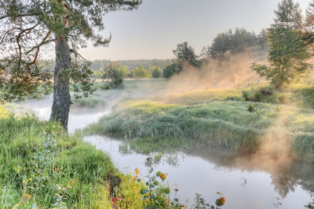 Photograph by Добролюбова Тамара