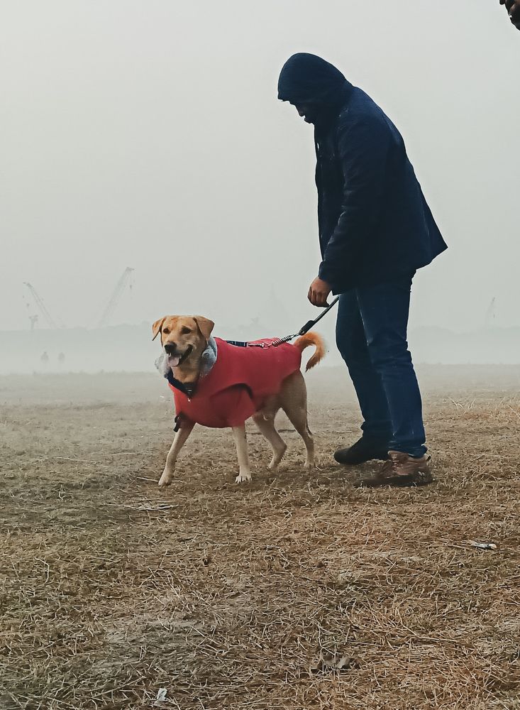 Photograph by Ayush Sah