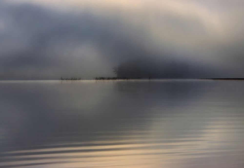 Photograph by Светлана Холодняк