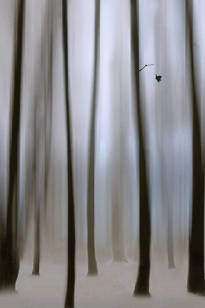 Фотография автора Варвара Штерн